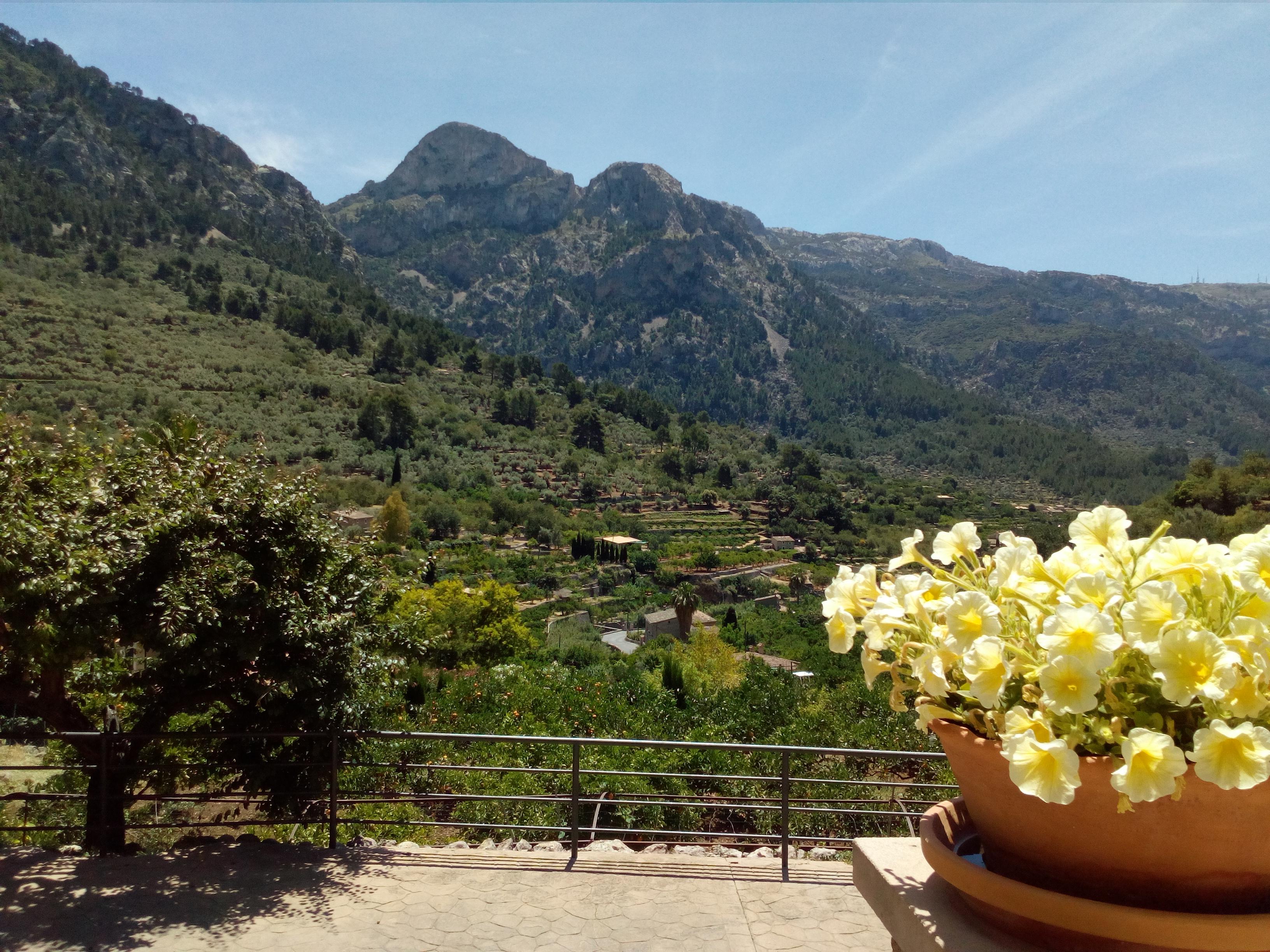 Hotel Apartament Sa Tanqueta De Fornalutx - Adults Only Kültér fotó
